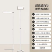 年货不打烊：京东京造 FL031 长颈鹿立式护眼台灯