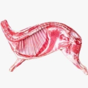 21日10点、限1000件、聚划算百亿补贴：新鲜羊肉新鲜半只羊10斤乳羔羊后腿羊肋排冷冻羊蝎子火锅食材