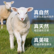 加州牛仔 原切半只羊乳羔羊 10斤装