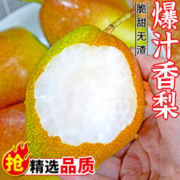 喜多鲜 香梨新鲜10斤红香酥梨水果梨子应季当季整箱雪梨脆甜一级酥梨时令