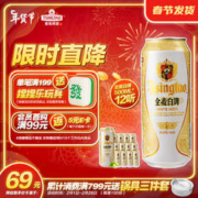 青岛啤酒 全麦白啤 500ml*12听