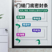 BaoLian 保联 冬季窗户挡风门缝密封条
