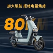 LUYUAN 绿源 LIVA7新国标电动自行车锂电男女代步电瓶车长续航两轮电动车