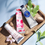 10日0点！L'OCCITANE  欧舒丹 护手霜套装(乳木果+玫瑰+樱花)