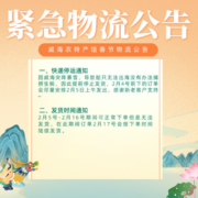 牧海翁乳山生蚝鲜活生蚝王特大牡蛎生鲜贝类新鲜海蛎子带壳生蚝肉 XXXXL号约4.5斤