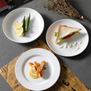 拾画 仿瓷浅盘10英寸 商用密胺圆盘25cm 火锅自助炒饭炒面盘10个装