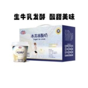 花园 冰淇淋酸奶120g*12杯
