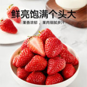 喵满分 丹东99新鲜红颜奶油草莓1.8斤