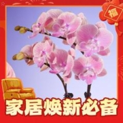 卡特加特 LED智能感应橱柜灯 白光 30cm