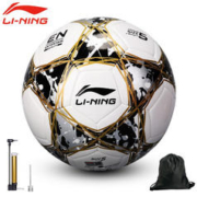 LI-NING 李宁 足球5号机缝球成人比赛世界杯标准用球青少年训练小学生五号足球