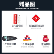 薰风（KUMPOO） 羽毛球拍刘国伦同款战拍熏风强控精准2300国伦双硬度中管钛极2代 钛极2代（空拍）