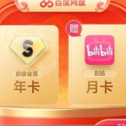 百度网盘超 级会员SVIP年卡12个月（赠送哔哩哔哩月卡）