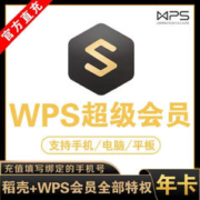 WPS 金山软件 超级会员 基础版 年卡