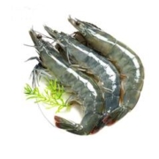 XYXT 虾有虾途 新鲜青岛大虾 单只14-16厘米 2kg