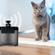 SMARTTAIL  宠物猫咪不插电无线感应猫咪饮水机  黑武士  待机50天