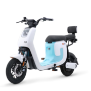 绿源（Luyuan）LIVA7长续航新国标电动自行车男女代步电瓶车 液冷电机 陶瓷刹车 光纤白