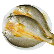 北海湾黄鱼鲞 深海鱼5条  200g-350g*5条