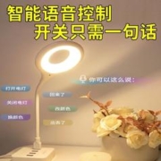 智能语音小夜灯usb照明灯床头灯人工声控灯护眼台灯