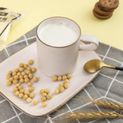 龙王食品 原味豆浆 30g*14袋
