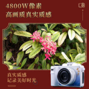 ROYAL KLUDGE RKG98机械键盘蓝牙三模式有线无线客制化热插拔