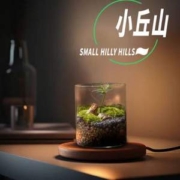 丘辰 生命之树苔藓微景观生态瓶