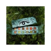 Urban Decay 香港直邮UrbanDecay 衰败都市 UD 绿野仙踪 12色眼影盘