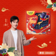 Driscoll's限量Jumbo超大果 云南蓝莓 125g*4盒装