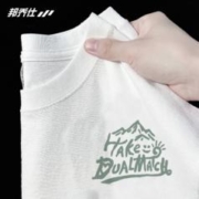 BFDQJS 邦乔仕 2024新款潮男短袖t恤重磅纯棉秋季情侣内搭打底衫宽松体恤上衣服