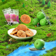 梅百华 无核陈皮梅/蜂蜜梅饼/柠檬梅饼/紫苏梅饼 300g