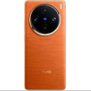 vivo X100 Pro 16GB+1TB 落日橙 蔡司APO超级长焦 蓝晶×天玑9300 自研芯片V3 拍照 手机ZG