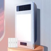 20点！YOUPON 友邦集成吊顶 DZ011 风暖浴霸 2600W