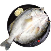 限移动端：DIAOYUJI 钓鱼记 海鲈鱼 500-650g