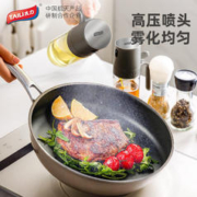 TAILI 太力 按压喷油壶 250ML
