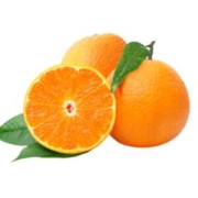 芬果时光 新鲜国产脐橙橙子大果 5斤装