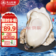 乳山牡蛎 鲜活乳山生蚝5XL号 净重2.5kg 7～12只