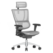 保友办公家具（Ergonor） 优b 2代 电脑椅人体工学椅家用 电竞椅办公椅子靠背椅老板椅 银白网(Q3.0)【推荐款】 升级款