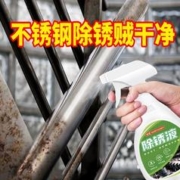 浣臣 不锈钢除锈剂 1瓶装 赠百洁布+手套