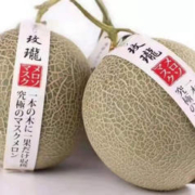 海南 甜瓜 网纹瓜9斤装（特大果3-5个）