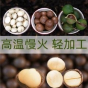 胜有声 新货夏威夷果 大号 250g