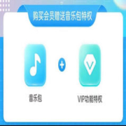 酷狗音乐豪华VIP会员年卡 12个月