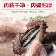 东上御品 9年淡干海参10倍泡发干货野生底播大连鲜活刺参辽参礼盒