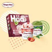京东百亿补贴:哈根达斯（Haagen-Dazs）冰淇淋超值尽享礼盒装 (抹茶*2/草莓*2) 100ml*4