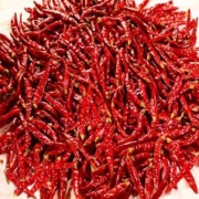 3元撸 辣椒朝天椒组合180g
