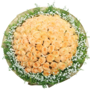 梦馨鲜花速递99朵红玫瑰花束玫瑰生日求婚礼物同城配送全国花店 99朵香槟玫瑰—真挚的爱