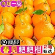 御品一园 春见耙耙柑净重5斤果径70mm