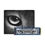 MOVE SPEED 移速 美洲豹 NVMe M.2 固态硬盘 512GB（PCI-E3.0）