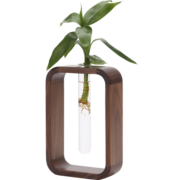 初心胡桃木花瓶花器木质水培植物容器小花瓶干花插花创意 胡桃木大圆角花器(矮款)