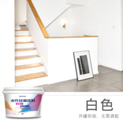 梵竹内墙乳胶漆硅藻墙面漆墙面翻新修补家用水性环保自刷白色彩色油漆 白色 2L（约刷20平方/遍）