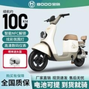 BODO 宝岛电动车 N13 电动自行车 48V12Ah