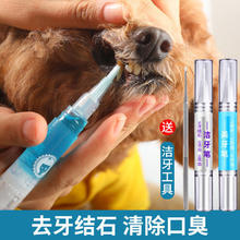 XUEDIAO 雪貂留香 宠物洁牙笔狗狗牙结石去除器牙垢猫咪结石凝胶洁齿除口臭美牙套装 牙结石清除套装